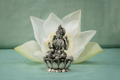 Laxmi Murti