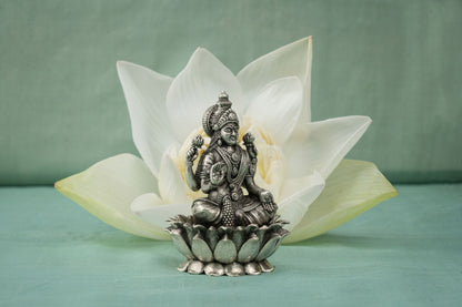 Laxmi Murti